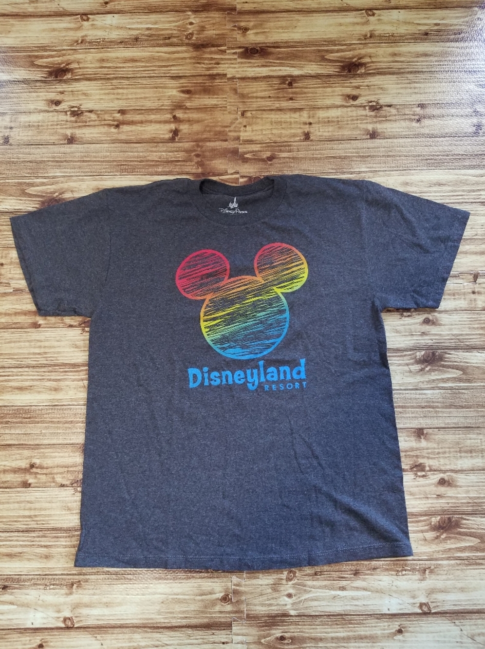 Disney Parks Mickey Mouse Disneyland Resort XL Charcoal Graphic T-Shirt Rainbow
